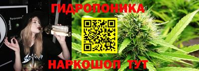 молекула духа Нальчик