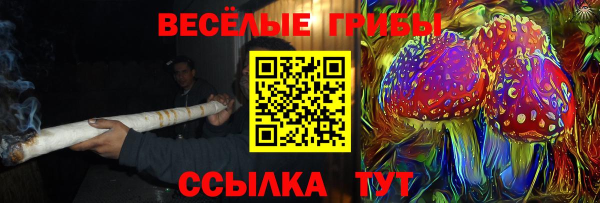 Галлюциногенные грибы Cubensis Первоуральск